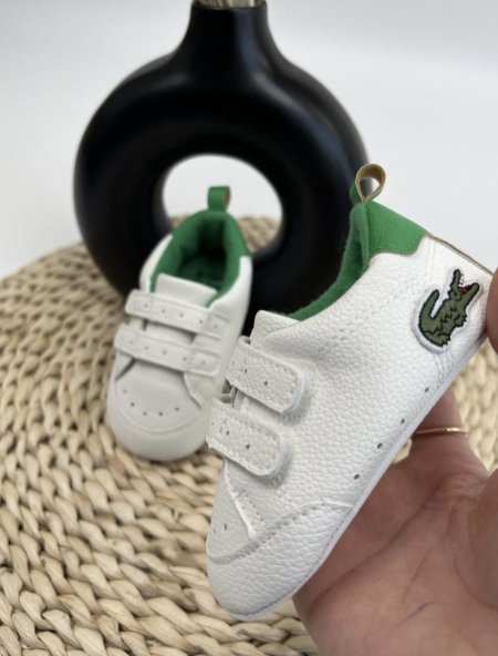 🐊حذاء lacoste 🐊